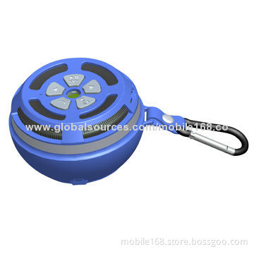 Bluetooth Speaker with FM Radio and Torch